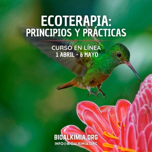 Ecoterapia: Principios y prácticas 2025