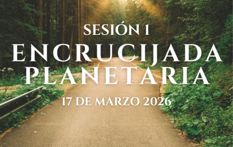 IMG SESIONES PMODULO (1)