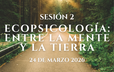 IMG SESIONES PMODULO (2)