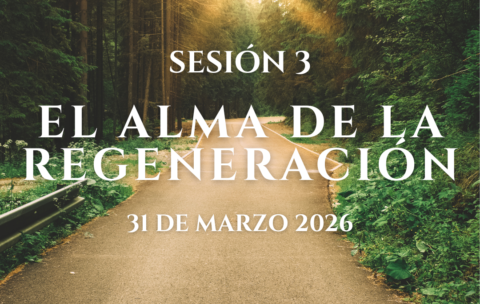 IMG SESIONES PMODULO (3)