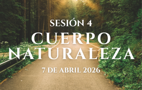 IMG SESIONES PMODULO (4)