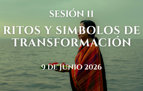 IMG SESIONES PMODULO (12)