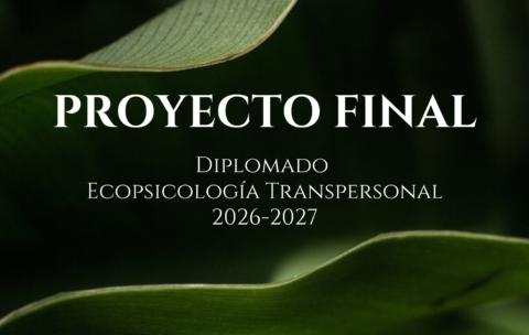 Proyecto final 2026-2027
